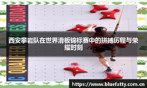 c7app官网版下载
